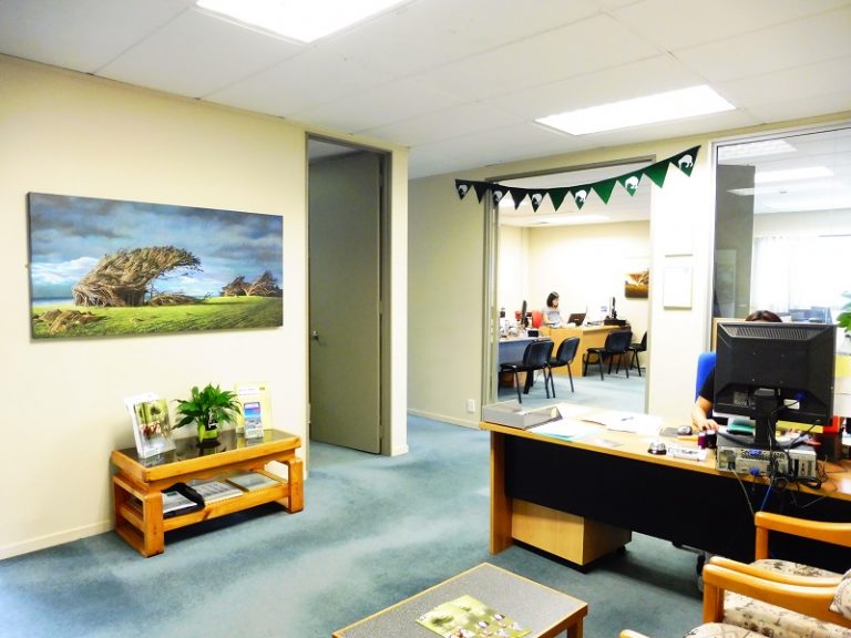 Kiwi English Academy